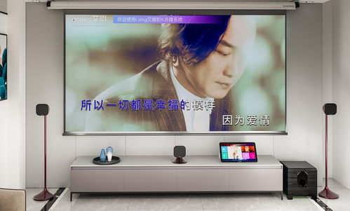 家庭ktv購買攻略 物超所值乃首選,這2款產(chǎn)品值得推薦